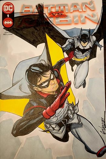 Image of Batman and Robin