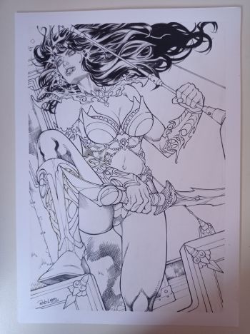 Image of Dejah Thoris 8x11" amazing original art by DC artist Rob Lean