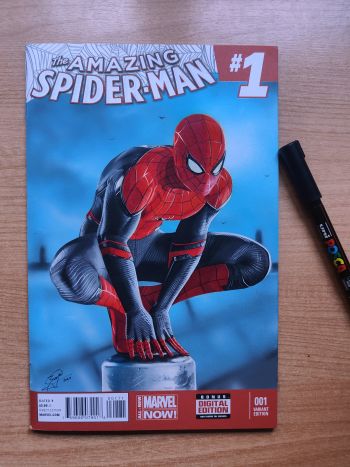 Image of The Amazing Spiderman Blank Cover