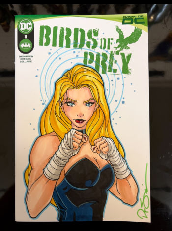 Image of Black Canary Original Sketch by Peter Smith