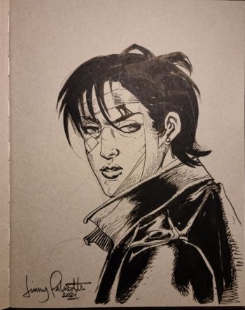Image of Jimmy Palmiotti - Painkiller Jane