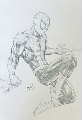 Image of Ed Benes pencilled 9 X 12 inches Full-body Spider-Man Commission on cardstock. Signed by Benes !