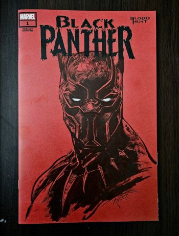 Image of Black Panther