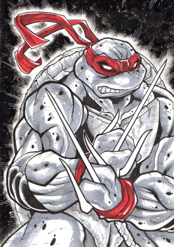 Image of TMNT Rafael