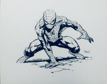 Image of David Finch Spider-Man full-body commission! Pencils & Inks by David Finch ! Signed by David Finch !