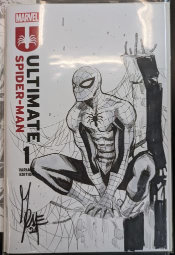 Image of Spider-man on blank cover by Marco Checchetto