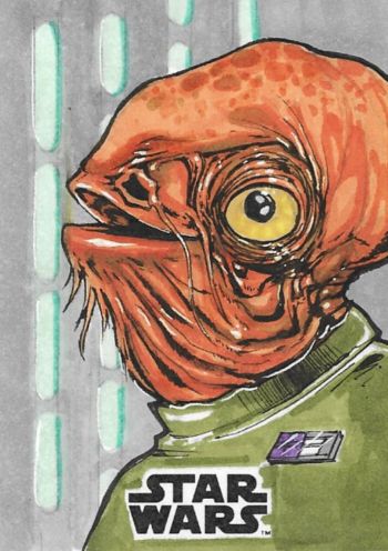Image of Admiral Ackbar Sketch