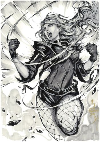 Image of Black Canary Commission