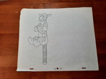 Image of TIGGR27-29