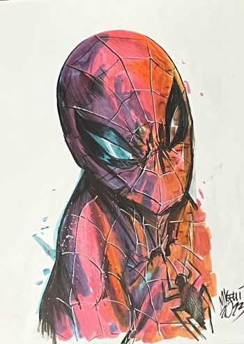 Image of Spider-Man - Alessandro Micelli