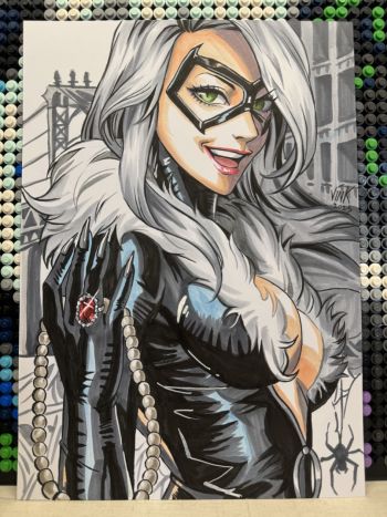Image of Vinkca’s Black Cat
