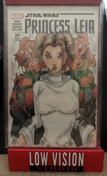 Image of Princess Leia Variant Sketch Cover