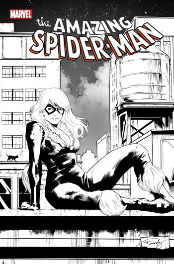Image of Black Cat on Amazing Spider-Man Rooftop