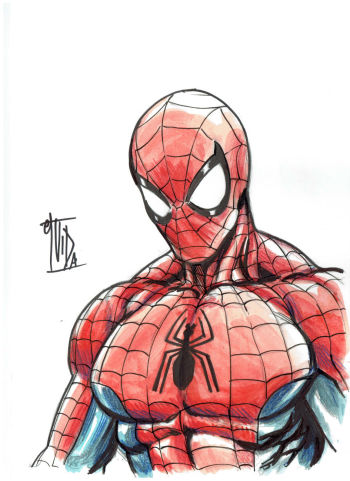 Image of Spider-Man Bust Sketch