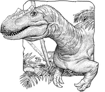 Image of Allosaurus
