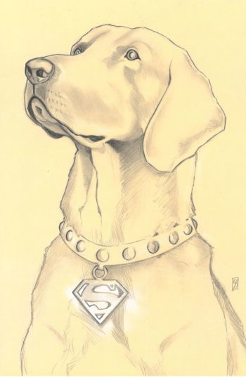 Image of Krypto the Superdog by Sean Stannard