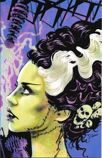 Image of Bride of Frankenstein Portrait  (SOLD AS SET w/The Frankenstein Monster)