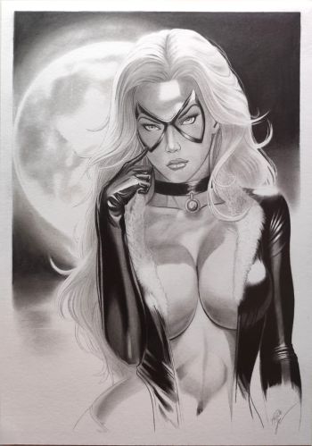 Image of Black Cat Pin Up