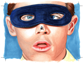 Image of Robin the Boy Wonder with Fly Illustration