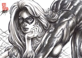 Image of Black Cat: Feline Shadows/ Bazal. 11,7x 8,3 in.