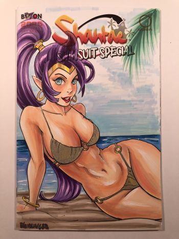 Image of Shantae Swimsuit Sketch Cover