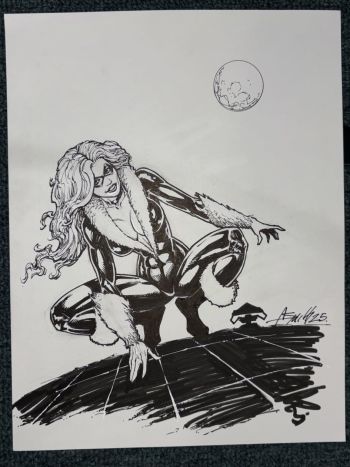 Image of Black Cat Rooftop Ink Drawing