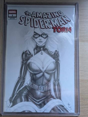 Image of Black Cat Original Art