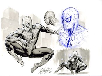 Image of Spider-Man Character Study