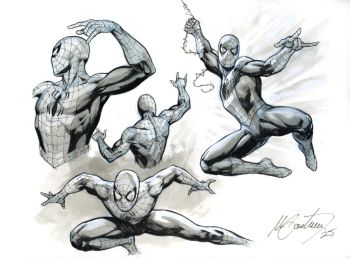 Image of Spider-Man Pose Study