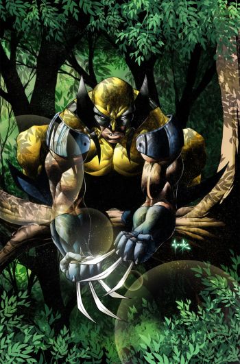 Image of Wolverine - Wild