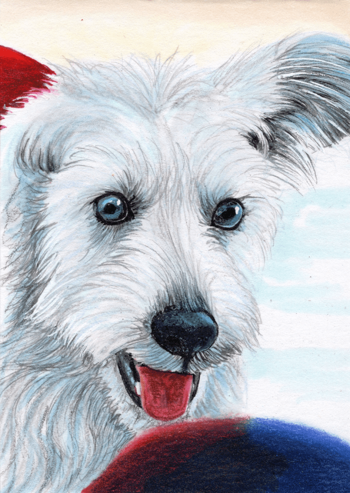 Image of Krypto colored Pencil Illustration