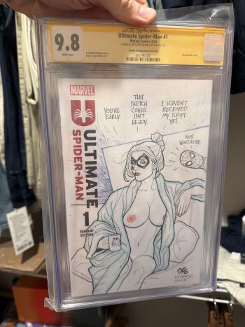 Image of Frank Cho Black Cat and Spider-Man sketch