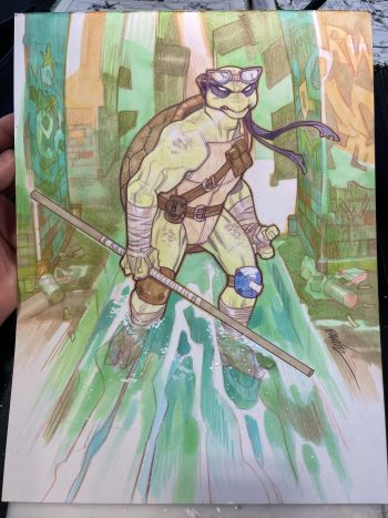 Image of Donatello TMNT 