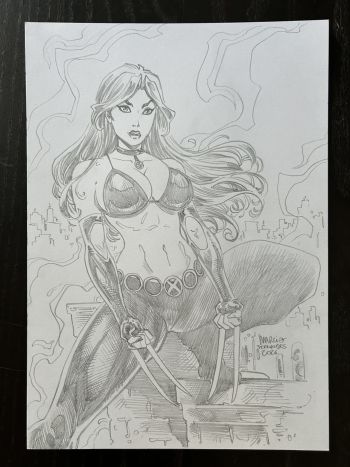 Image of X-23 by Marcio Fernandes