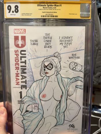 Image of Frank Cho Black Cat and Spider-Man sketch