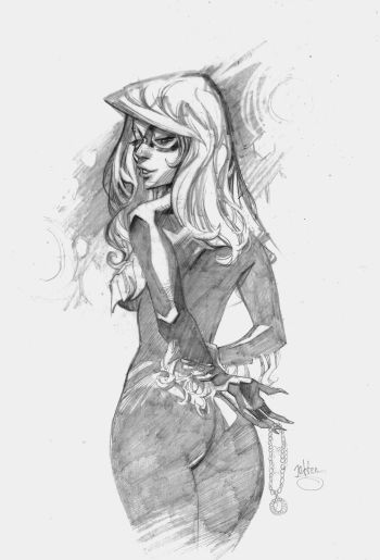 Image of black cat pencils