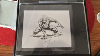 Image of David Finch Spider-Man full-body commission! Pencils & Inks by David Finch ! Signed by David Finch !