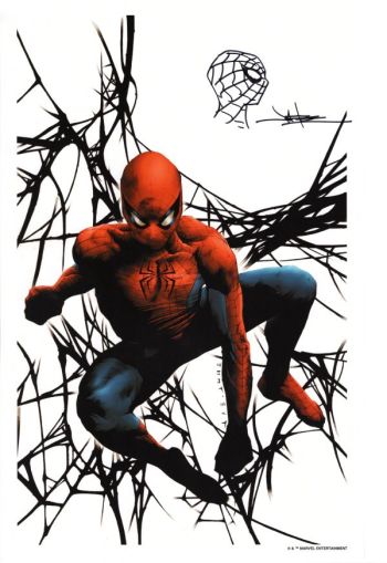 Image of SPIDER-MAN REMARQUED COLOR PRINT SIGNED JAE LEE