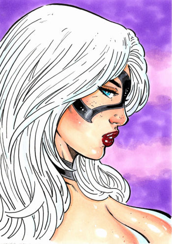Image of Black Cat Illustration