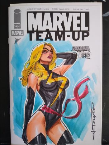 Image of Captain Marvel Warbird Sketch Cover by Jeff Taylor