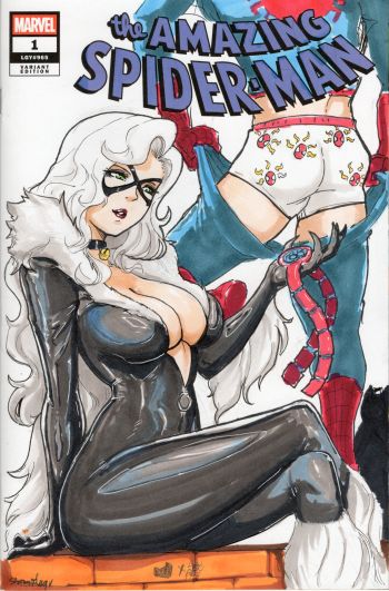 Image of The Amazing Spider-Man #1 Black Cat Sketch Cover