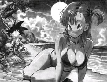 Image of Dragonball Bulma Beach