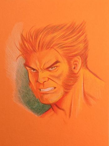Image of Wolverine Original Sketch 