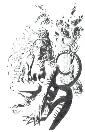 Image of Tigra #1 cover by Mike Deodato Jr.