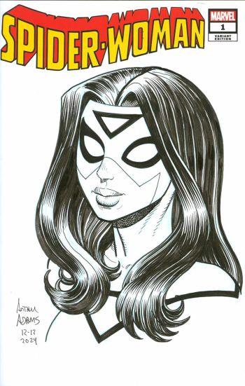 Image of One Arthur Adams Commission drawn at Heroes Con 2025 (Mail away available!)