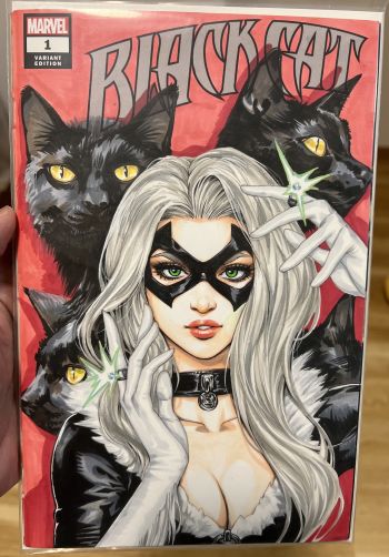 Image of Black Cat sketch