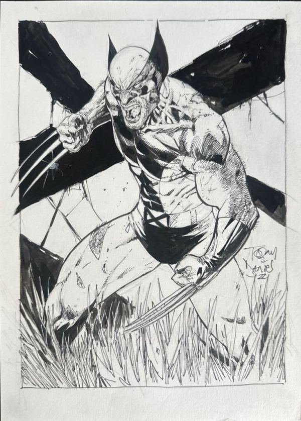 Image for Wolverine Sketch by Tony Daniel