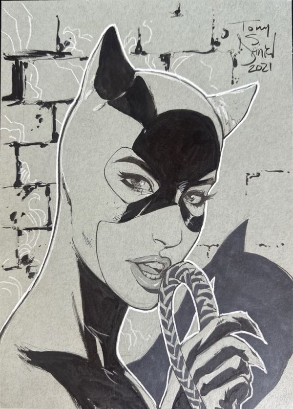 Image for 9x12 Catwoman Sketch by Tony Daniel