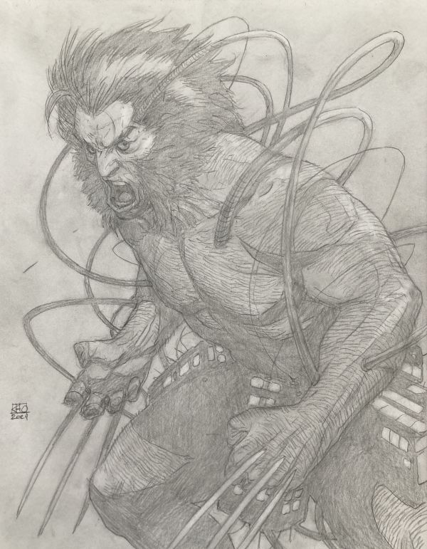 Image for Weapon X Wolverine!