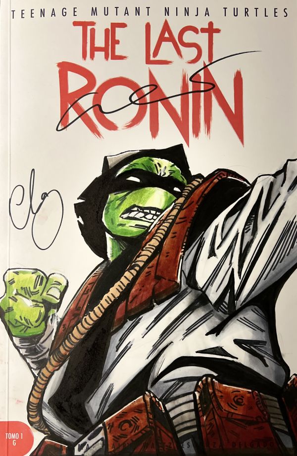 Image for The Last Ronin